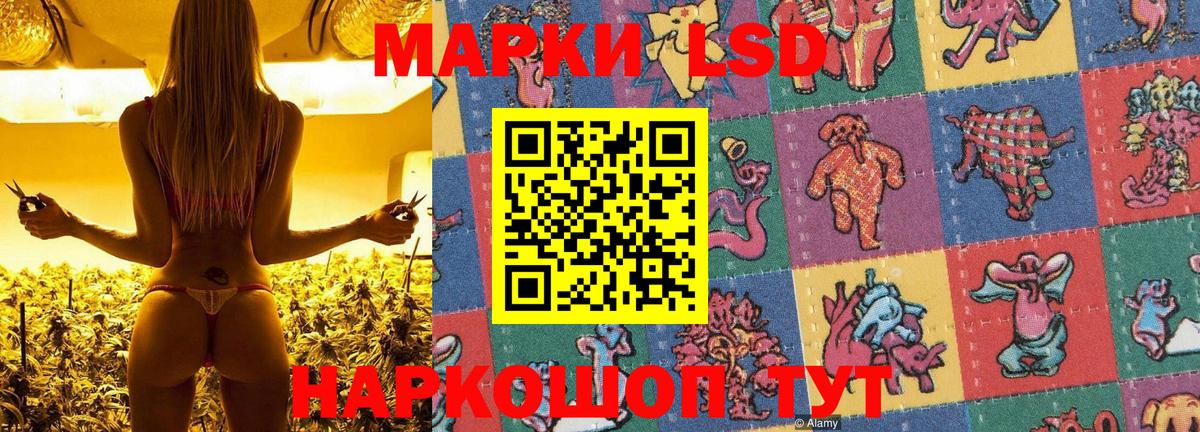 Марки NBOMe 1,8мг  Вход с VPN  Звенигород 